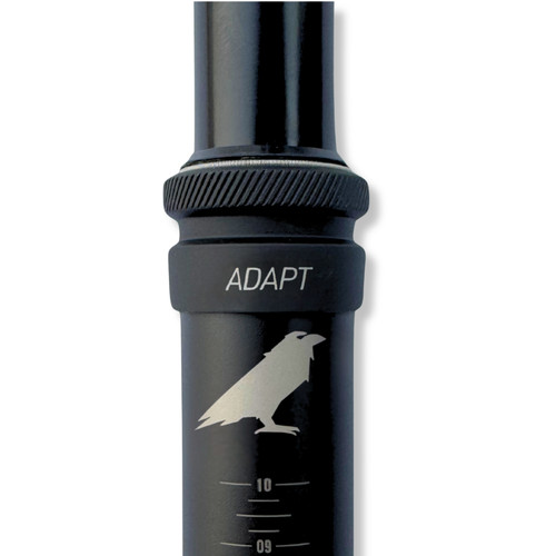 Ascend components adapt - components,
