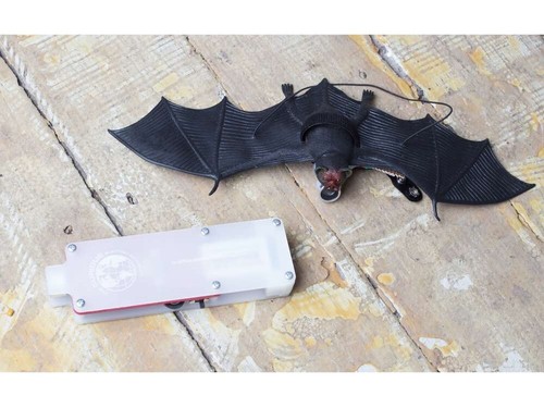 Bat listener diy - diy, kit